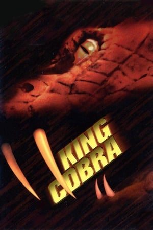 King Cobra 1999 110mb Hindi Dual Audio movie Download King Cobra 1999 110mb Hindi Dual Audio movie Download